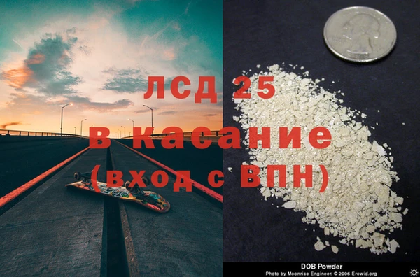 прущие грибы Протвино